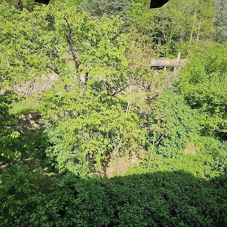 Appartement Malleval Chez Jeanne Екстер'єр фото